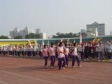 chb9311073.jpg