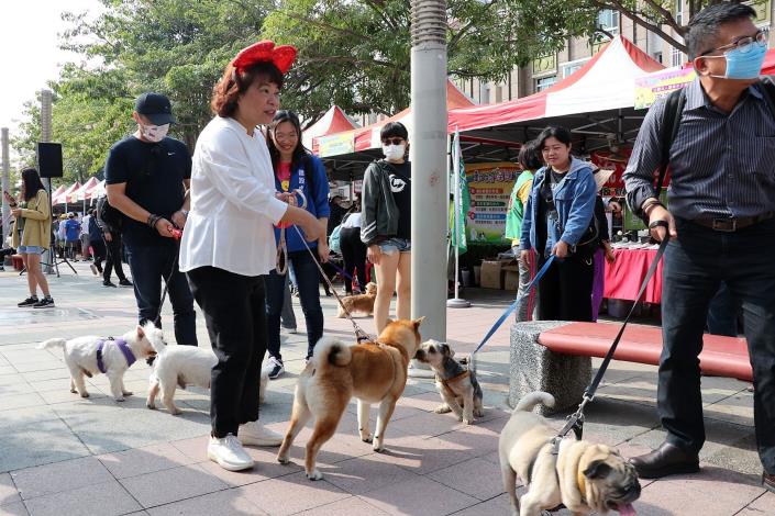 市長牽柴犬.JPG