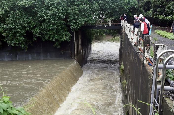 A黃敏惠市長視察中央排水嘉義市起點 (3).JPG
