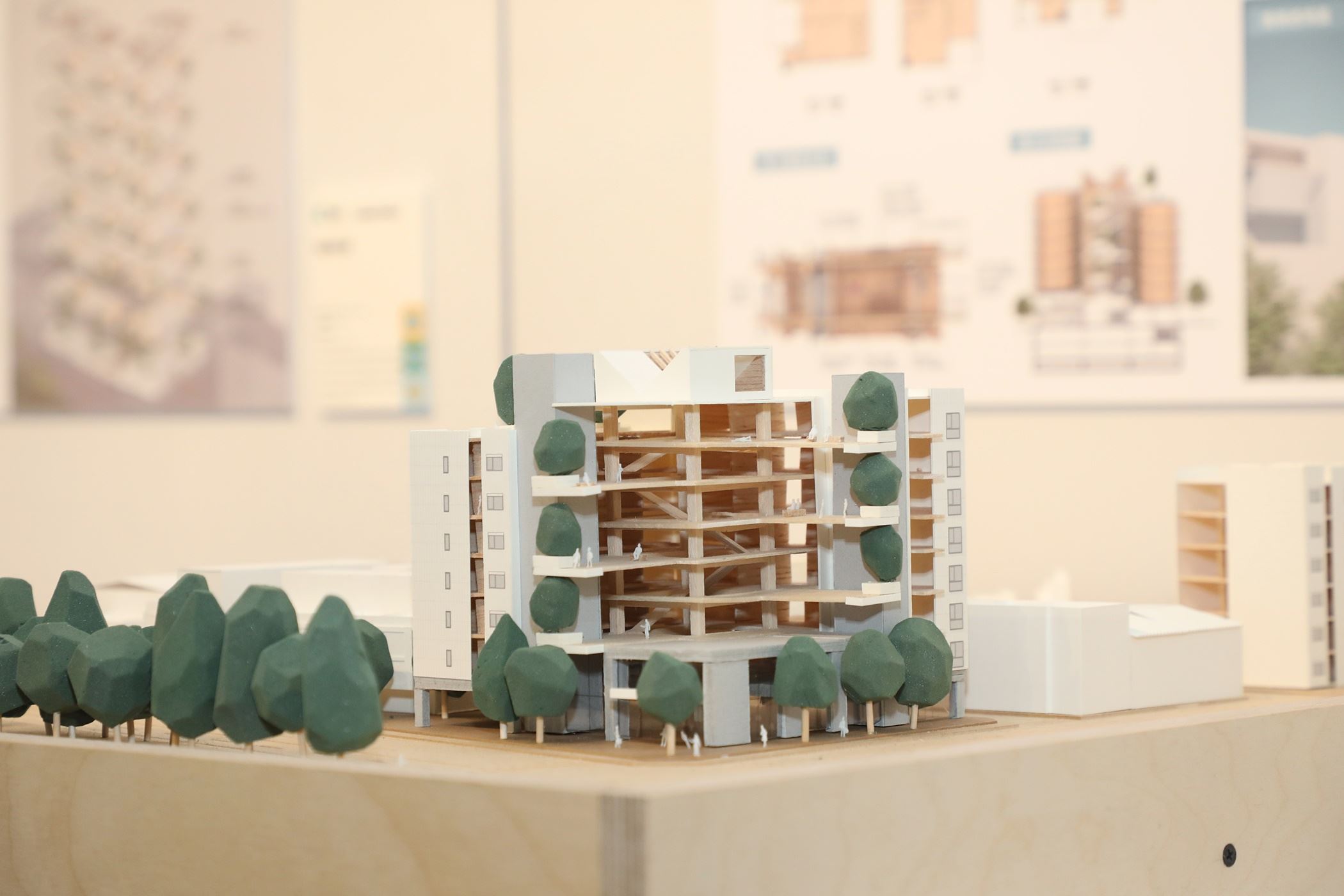 嘉義 「木造集居建築示範設計競圖」首獎:【構嘉未來 Design for Future Development】,NALA+NABUMA Lab(美國開業建築師張龍祺、成功大學建築系徐宇亮教授)獲得