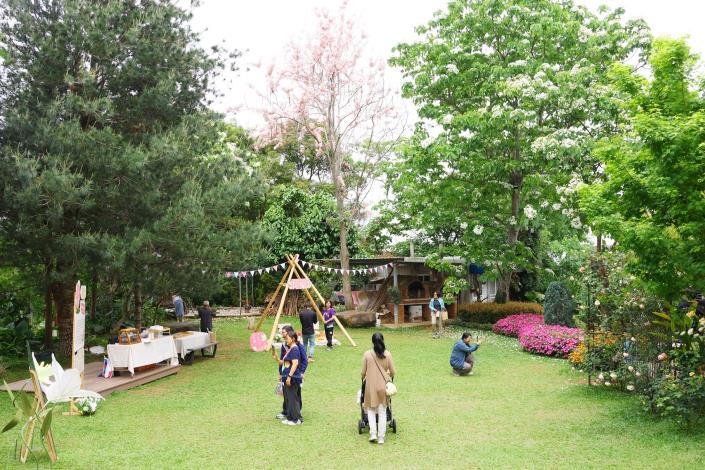 0 桐花花況正好 吸引民眾出門踏青 (2).JPG