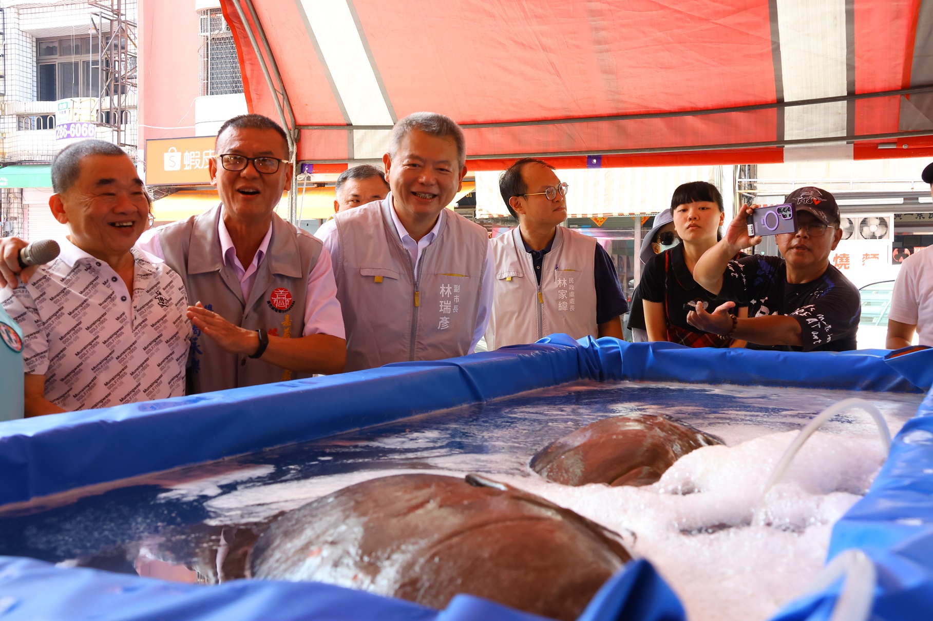 0 魚讚中元主題區 擺設兩百斤大龍膽石斑 價值不斐.JPG