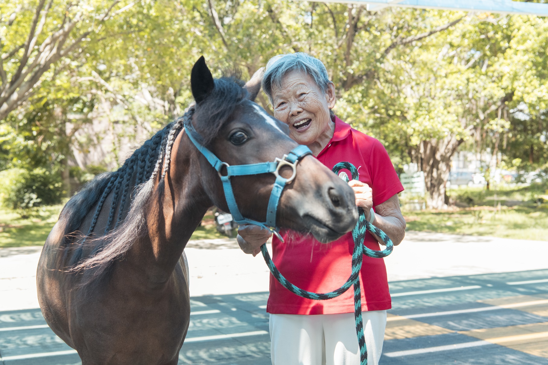 圖片來源:嘉義市政府