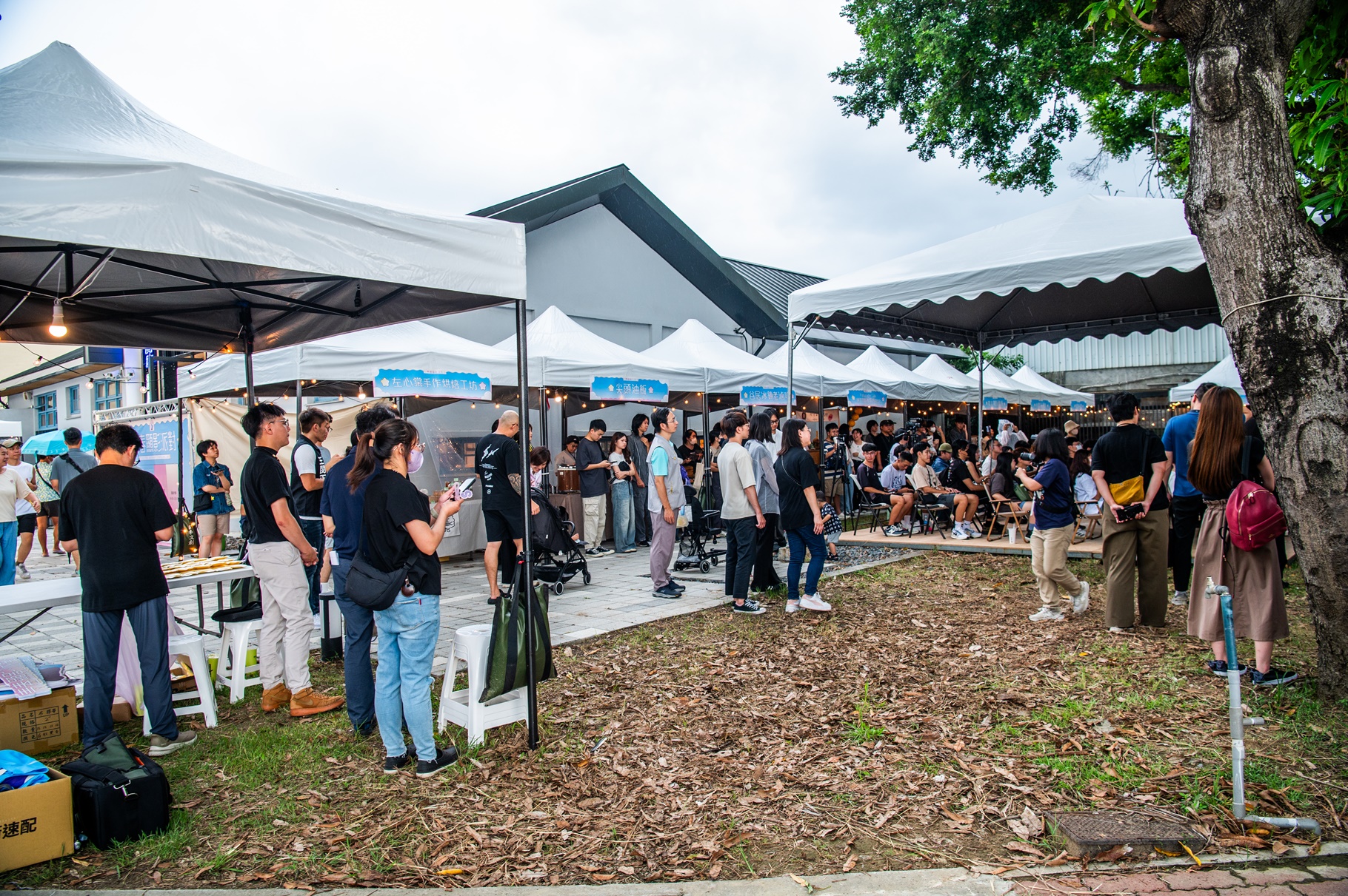 圖片來源：嘉義市政府