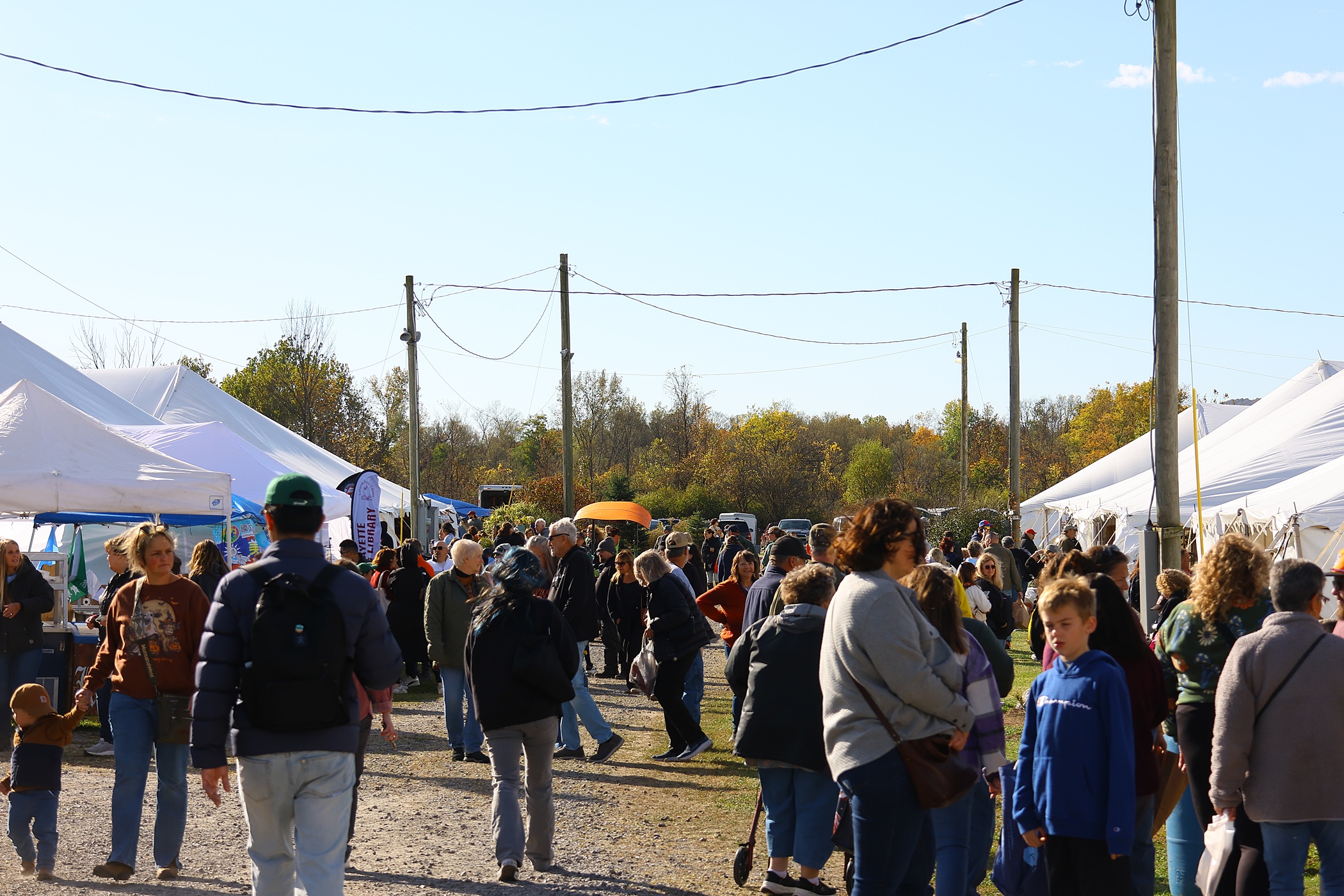 圖片來源：嘉義市政府