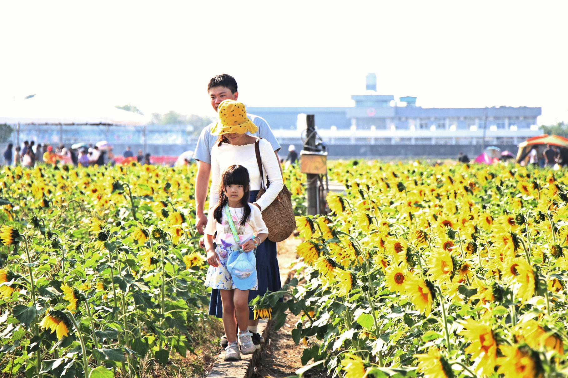 圖片來源：嘉義市政府