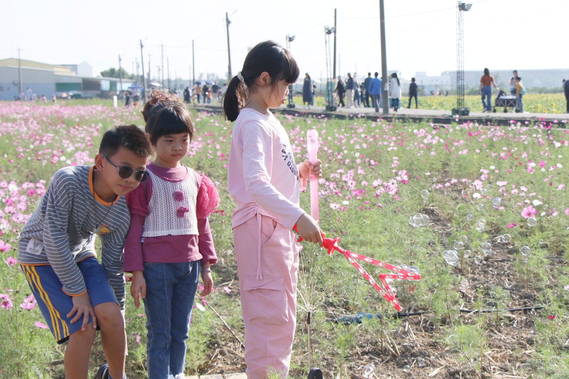 圖片來源：嘉義市政府