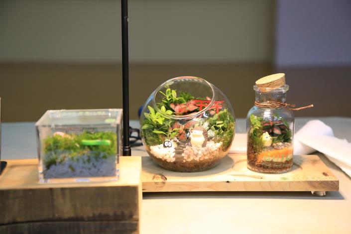 0_社工人員共同創作永續生態瓶 (3).JPG