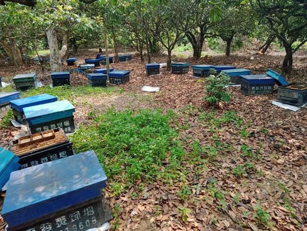0LINE_東發養蜂場提供養蜂圖