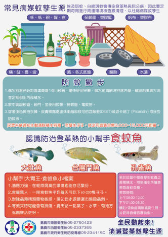 登革熱宣導DM
