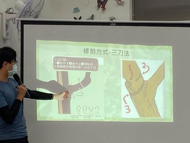 圖6、講師蔡期昇介紹安全的修樹步驟