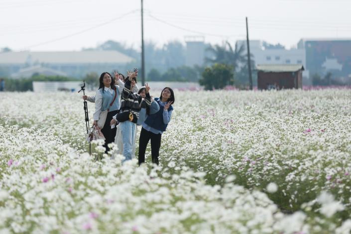 花海綻放，幸福滿城！2024嘉義花海生活節吸引約12萬人次參與