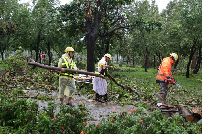 0_文化公園搶修 (3).JPG