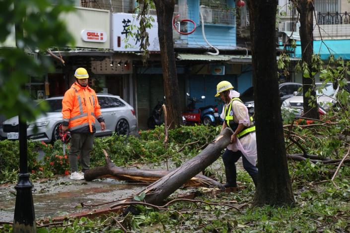 0_文化公園搶修 (2).JPG
