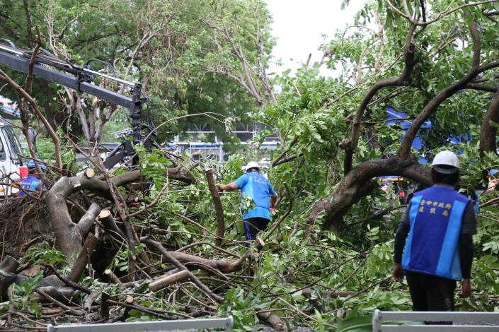 0_丹娜絲颱風重創嘉義市　市府啟動四階段復原行動 全市主要幹道全數恢復正常通行 (3).JPG