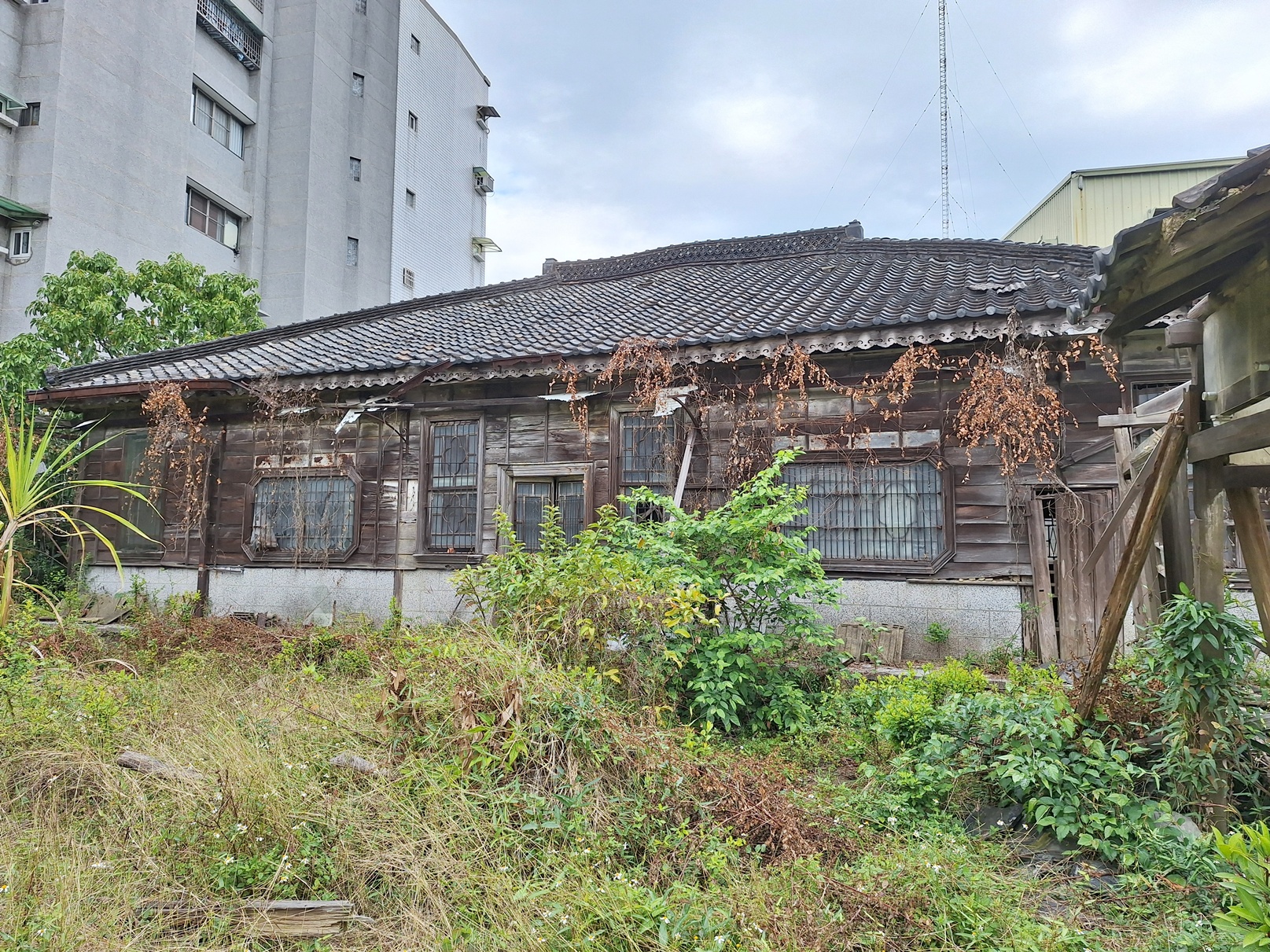 圖片來源：嘉義市政府