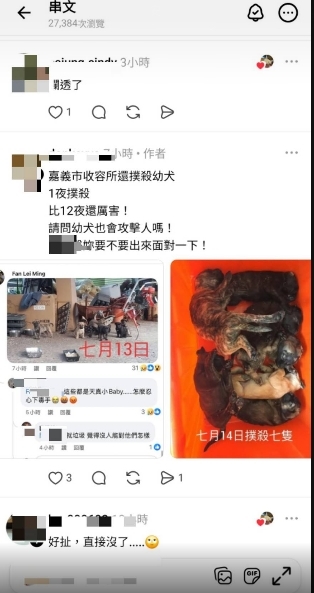 圖片來源：嘉義市政府