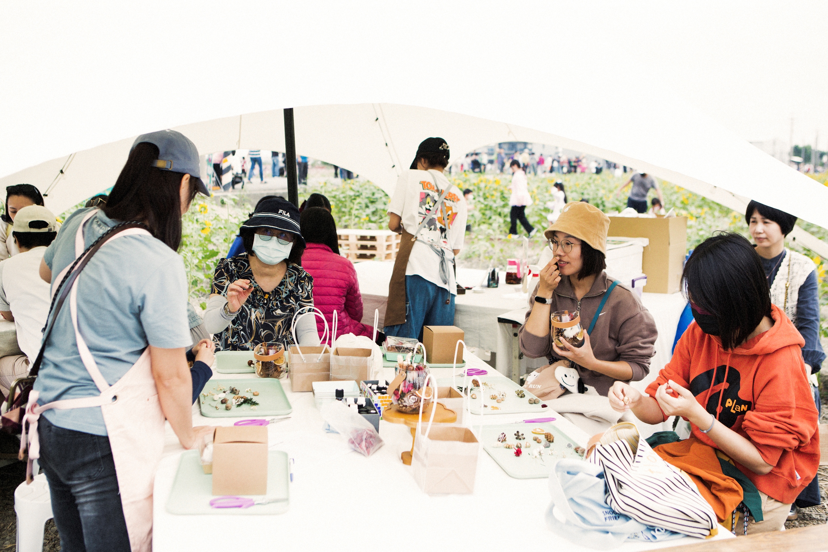 圖片來源：嘉義市政府