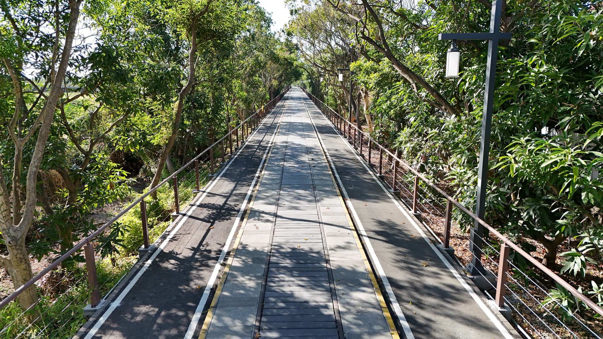 圖片來源：嘉義市政府