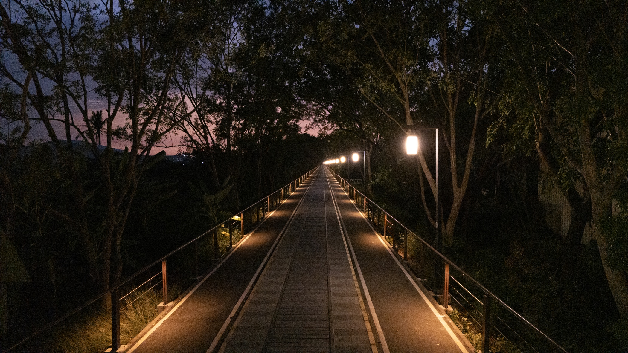 圖片來源：嘉義市政府