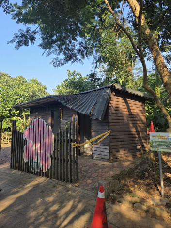 丹娜絲颱風重創嘉義市　市府全力復原並向中央爭取補助