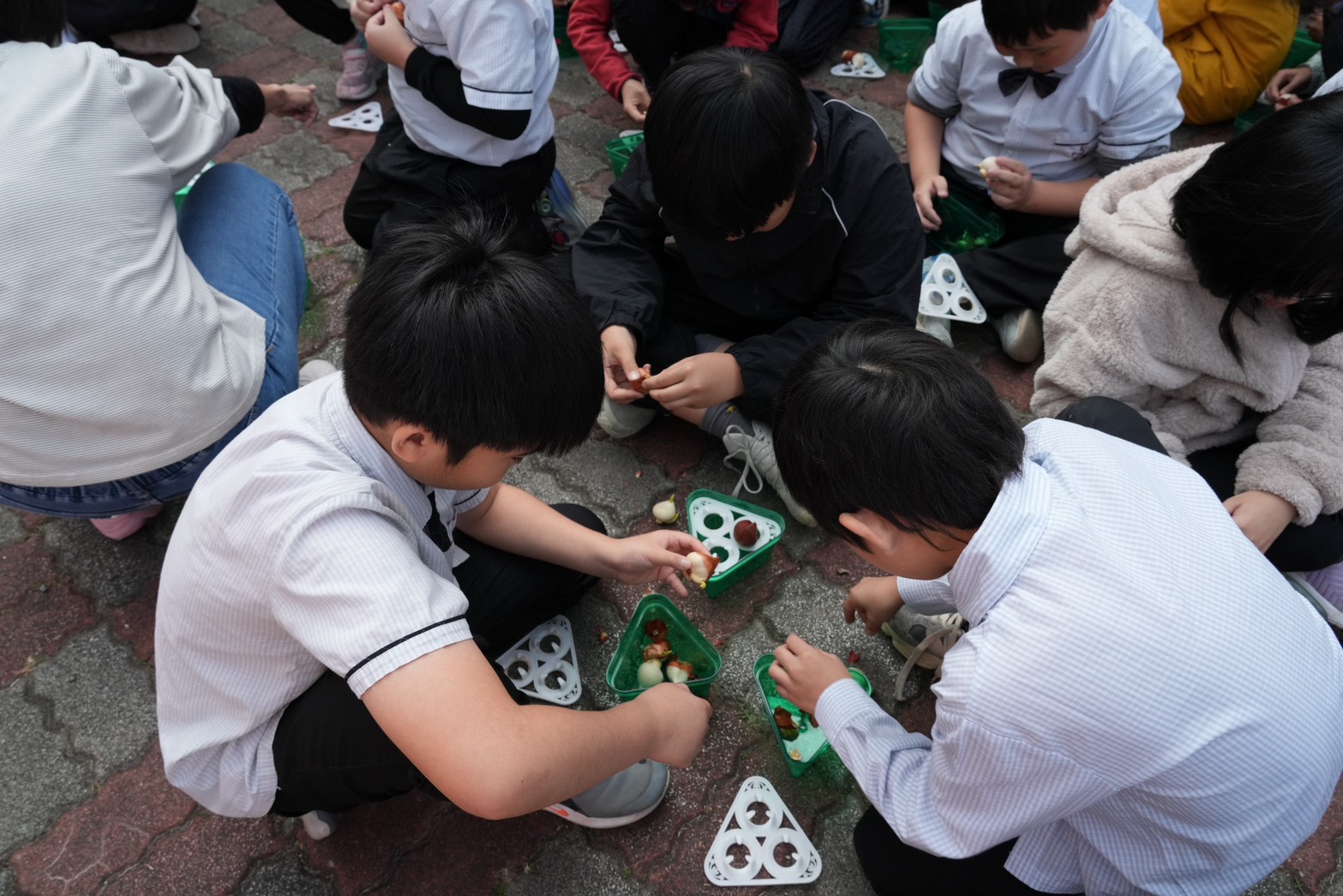 圖片來源：嘉義市政府