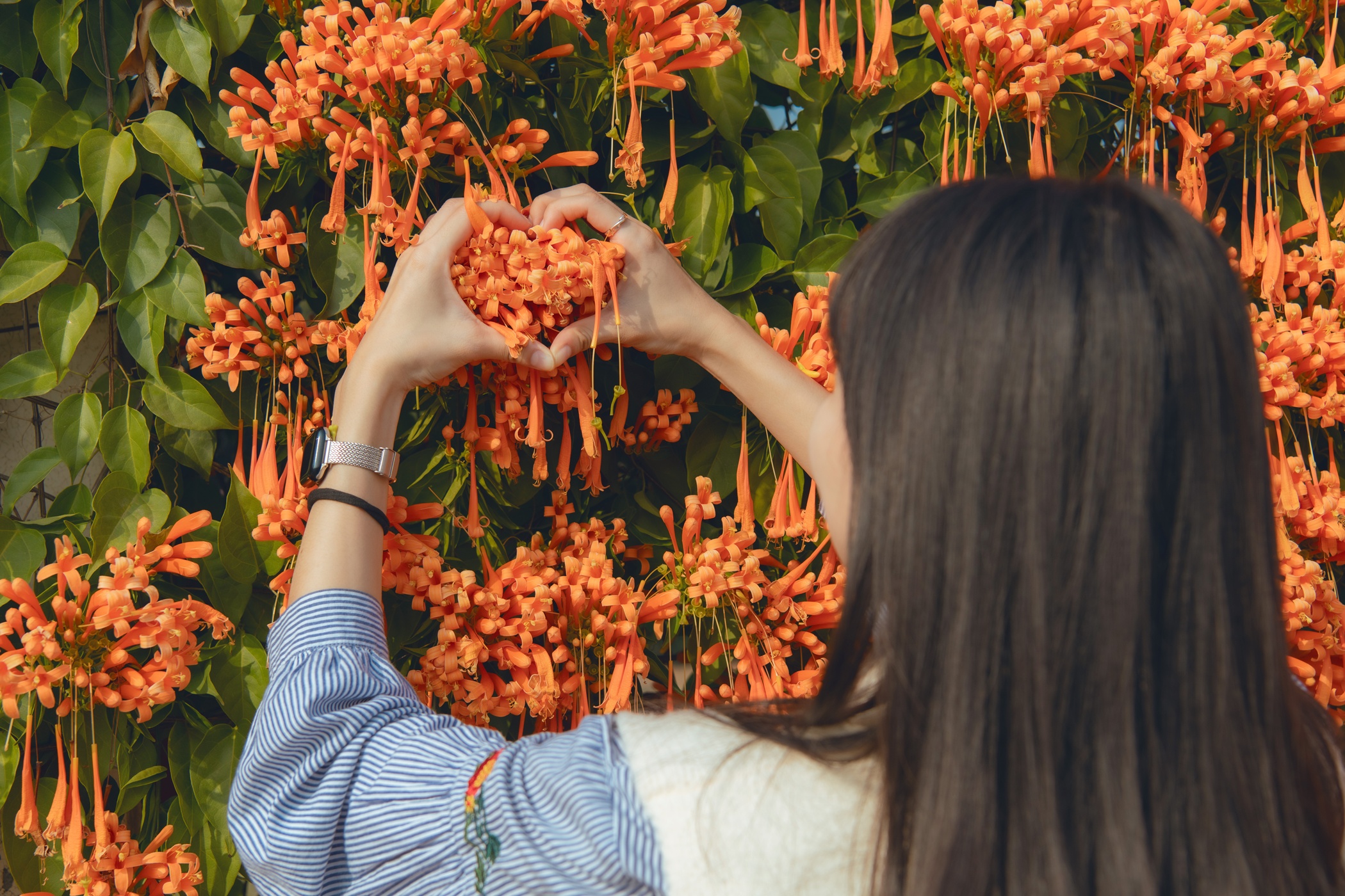 圖片來源：嘉義市政府