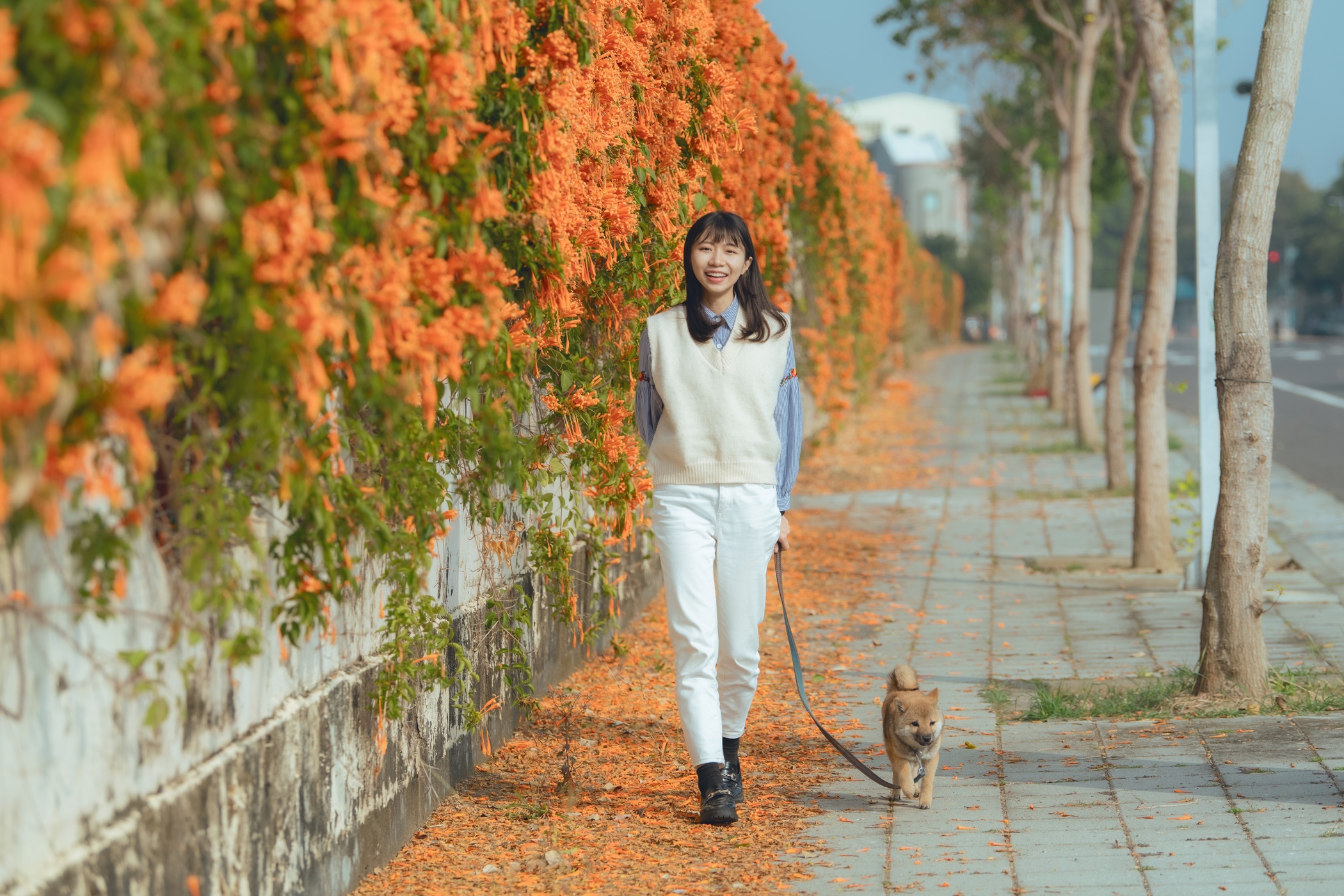 圖片來源：嘉義市政府