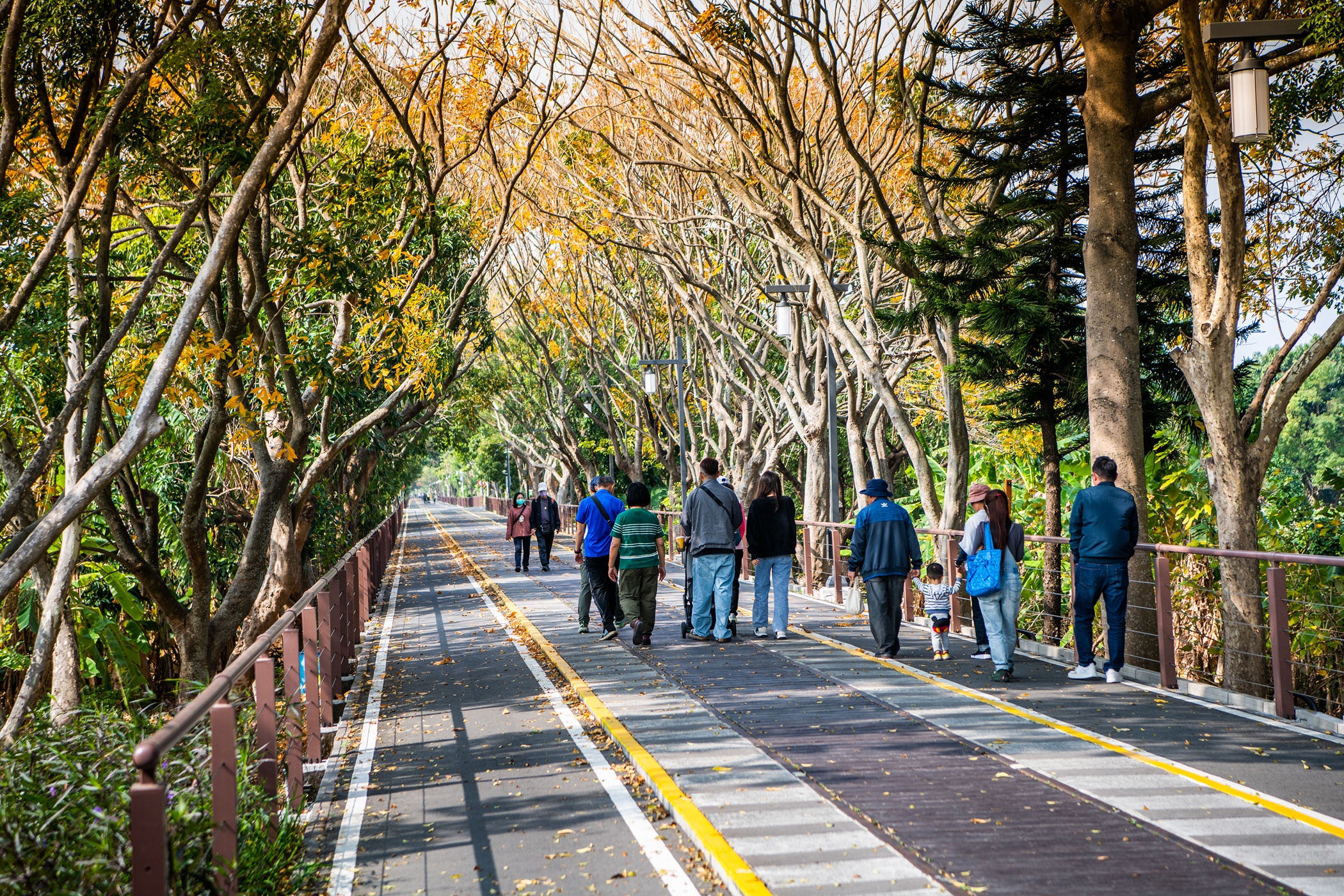 圖片來源：嘉義市政府