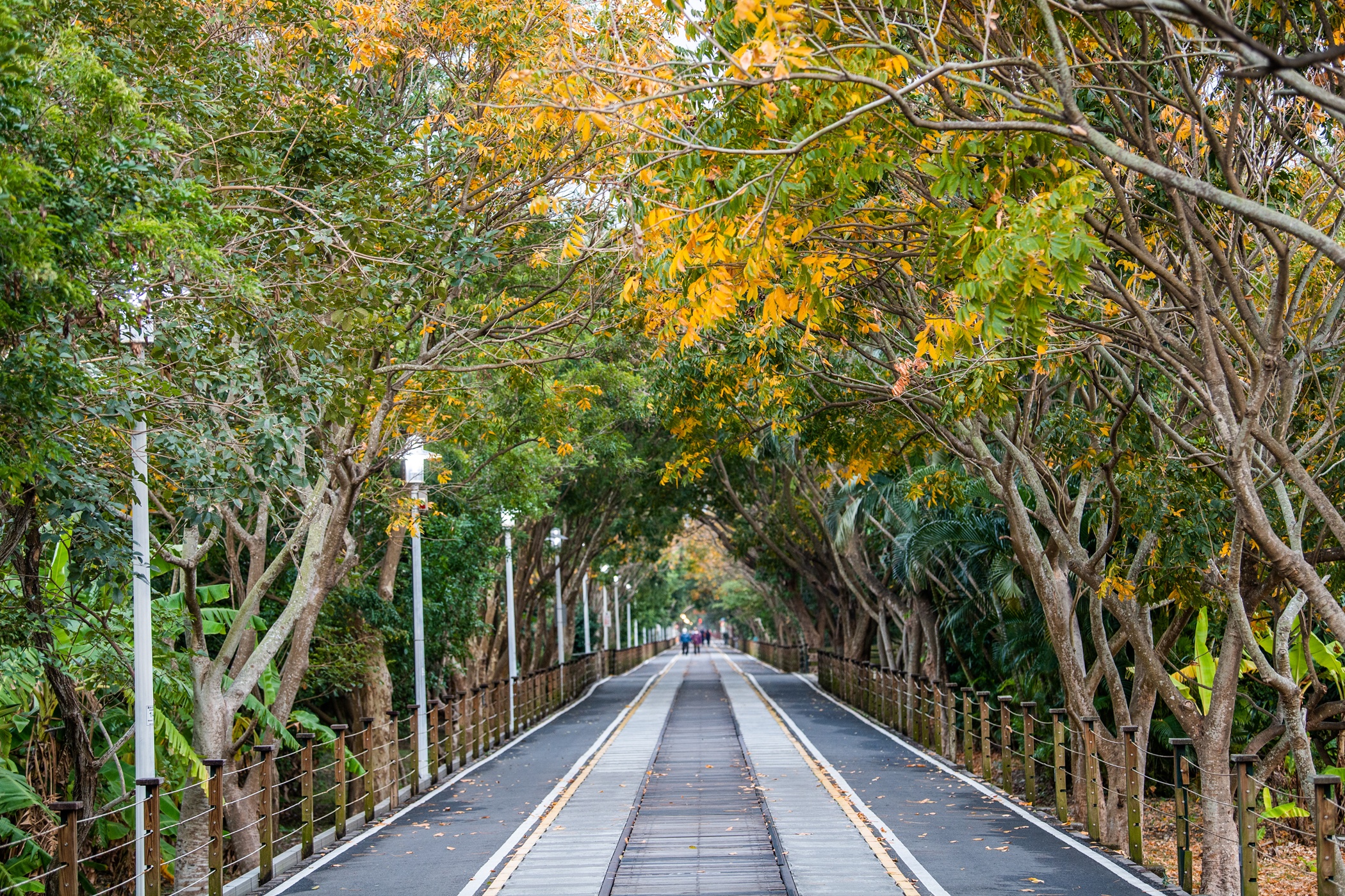 圖片來源：嘉義市政府