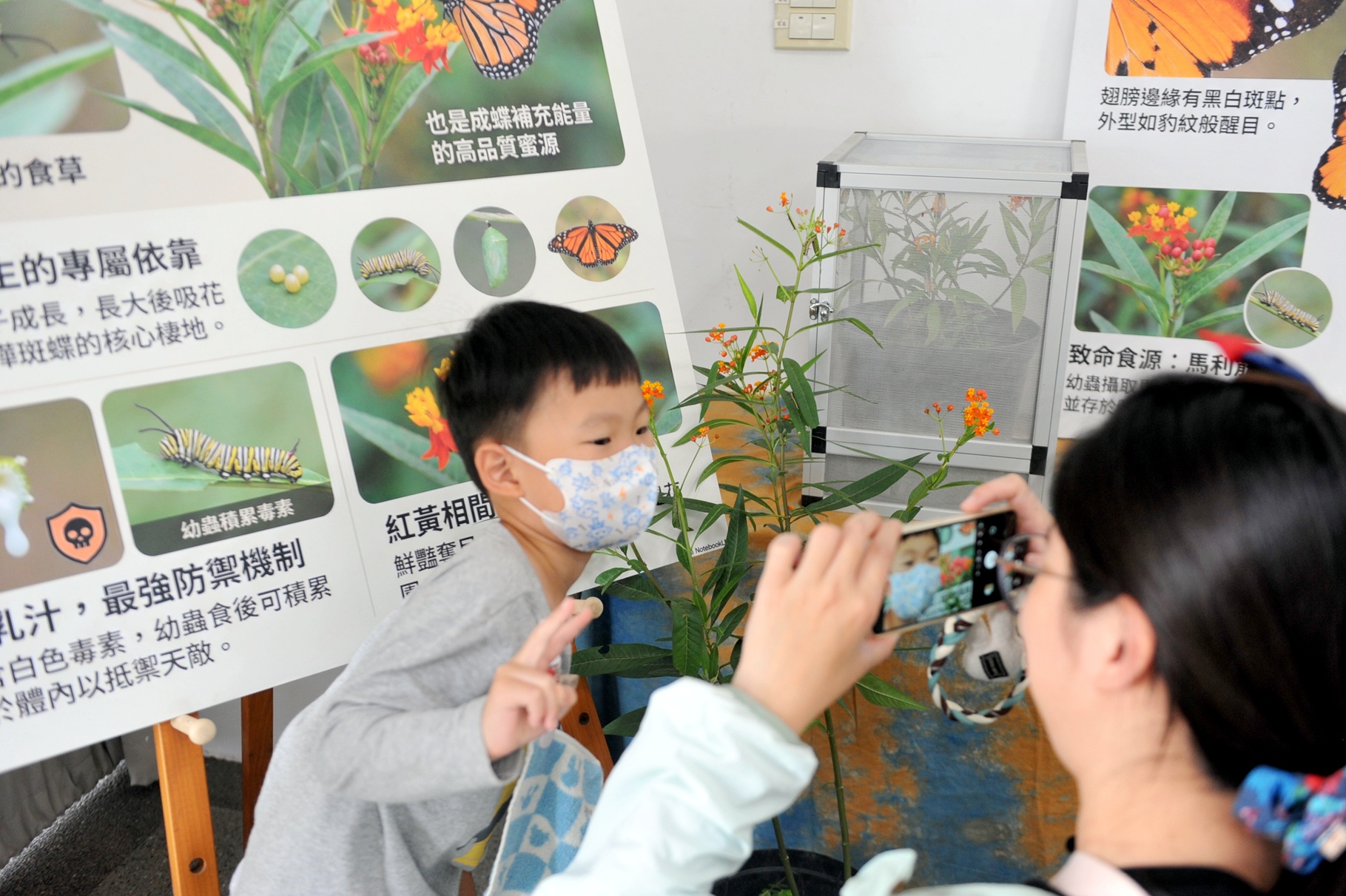 圖片來源:嘉義市政府