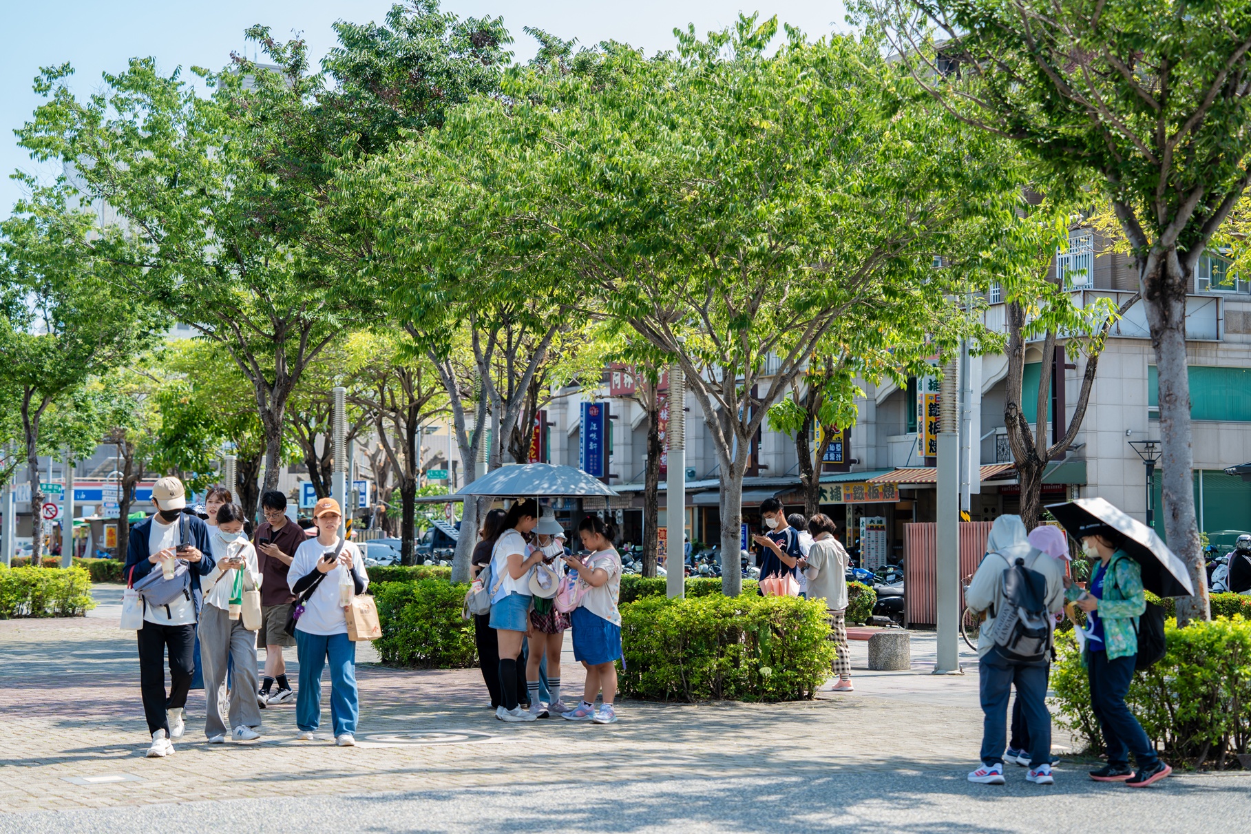 圖片來源:嘉義市政府