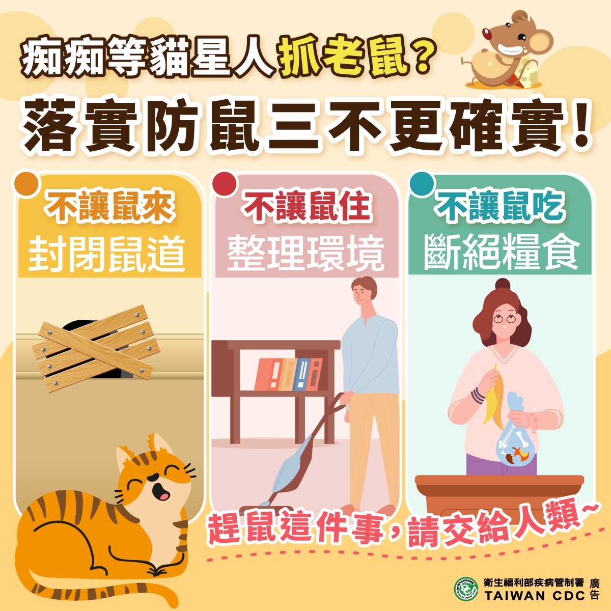圖片來源:嘉義市政府