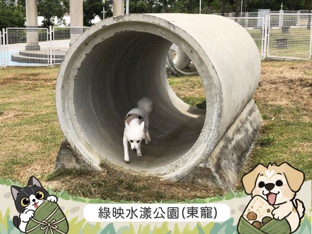 圖片來源:嘉義市政府