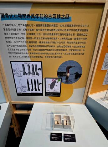 圖片來源:嘉義市政府