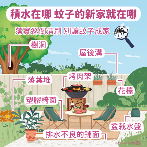 圖片來源:嘉義市政府