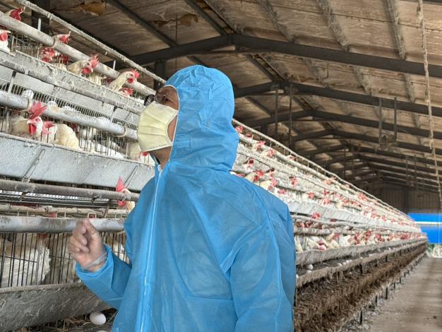 為防範禽流感入侵 加強宣導養禽業者務必提高警覺