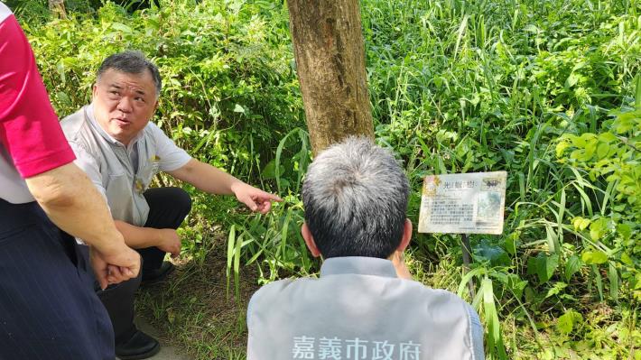 獨角仙季登場