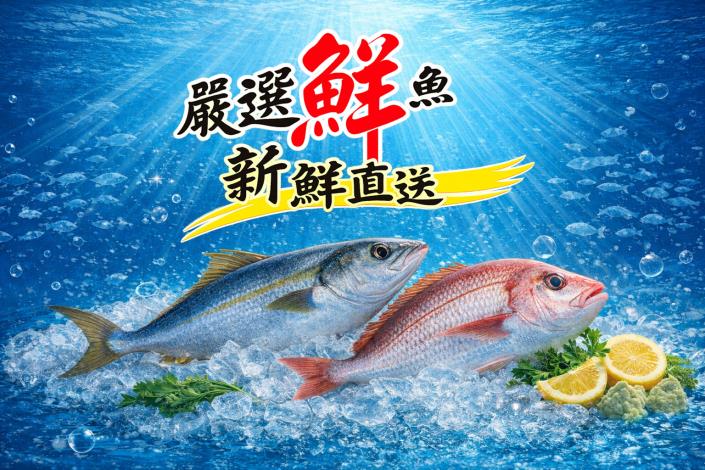2026年嘉義魚市場超值優惠禮盒大推薦!